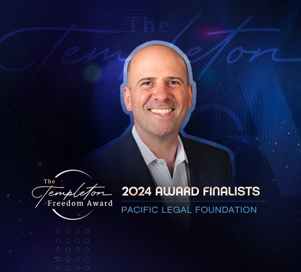 At Net TFA2024 Finalist PLF
